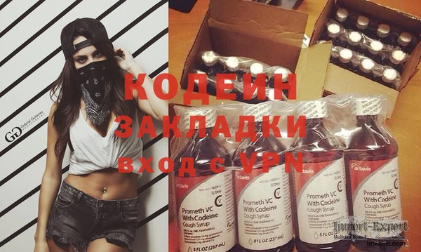 прущие грибы Краснотурьинск