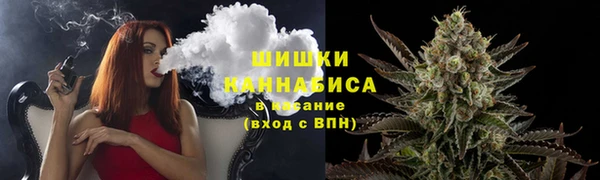 тгк Пролетарск