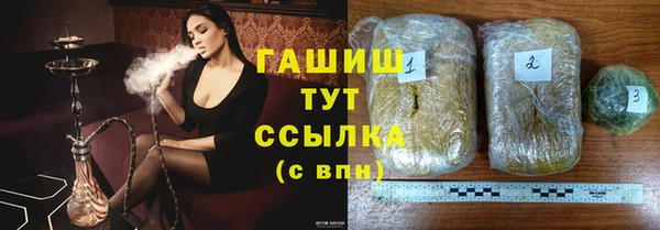 прущие грибы Краснотурьинск