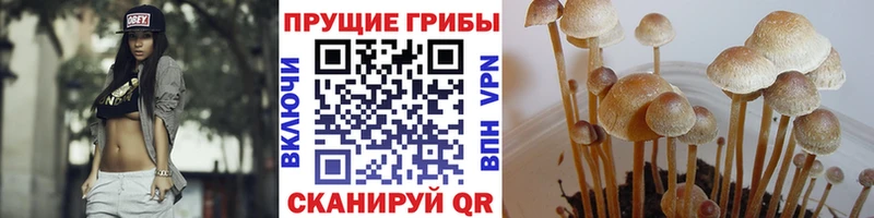МЕГА ONION Среднеколымск Псилоцибиновые грибы Psilocybine cubensis